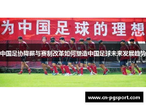 中国足协降薪与赛制改革如何塑造中国足球未来发展趋势