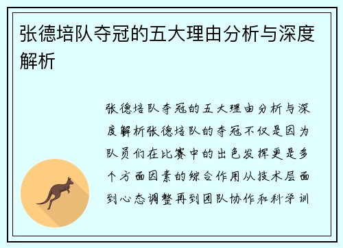 张德培队夺冠的五大理由分析与深度解析