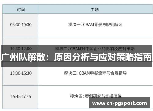 广州队解散：原因分析与应对策略指南