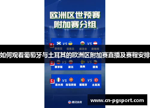 如何观看葡萄牙与土耳其的欧洲区附加赛直播及赛程安排