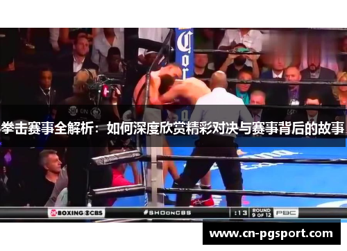 拳击赛事全解析：如何深度欣赏精彩对决与赛事背后的故事
