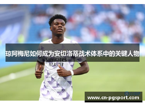 琼阿梅尼如何成为安切洛蒂战术体系中的关键人物