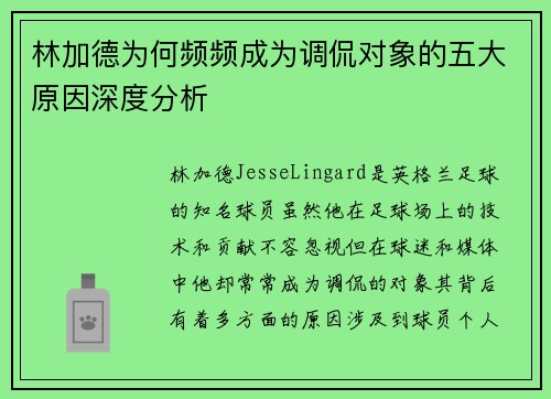 林加德为何频频成为调侃对象的五大原因深度分析