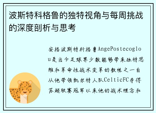 波斯特科格鲁的独特视角与每周挑战的深度剖析与思考